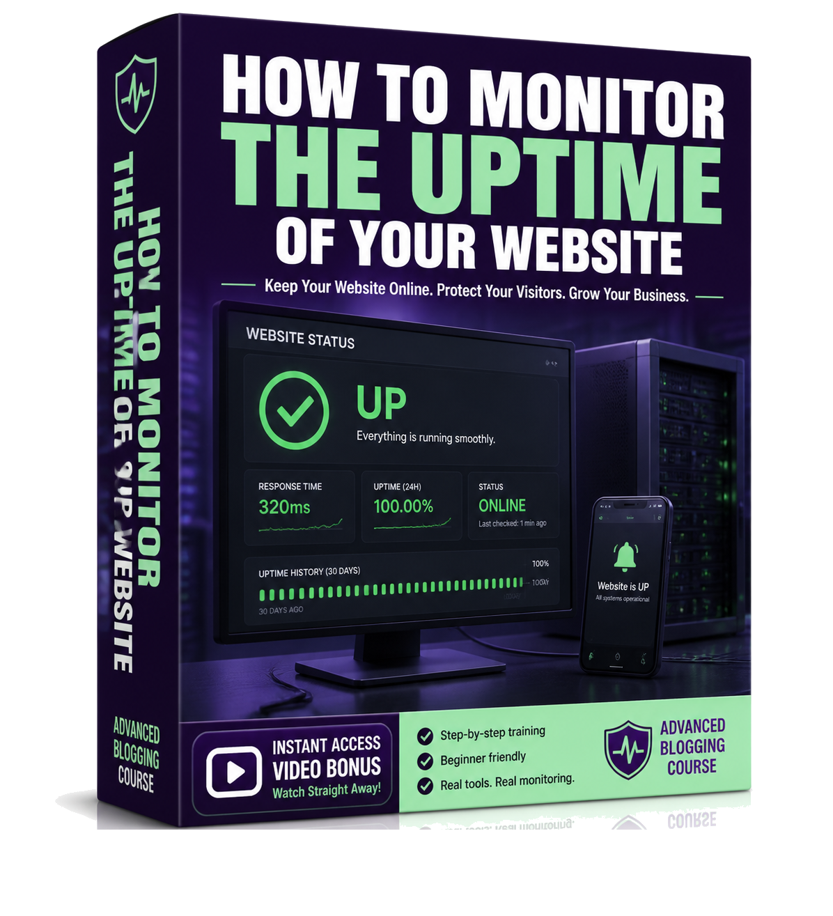 How to Monitor the Uptime of Your Website